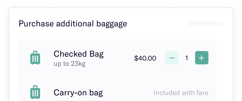 User interface for adding extra bags